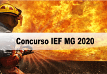 Concurso IEF MG 2020